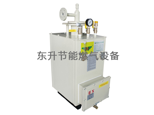 香蕉视频久久(LPG)防爆型大香蕉久久久一级大黄片器(DS30—50kg／h)